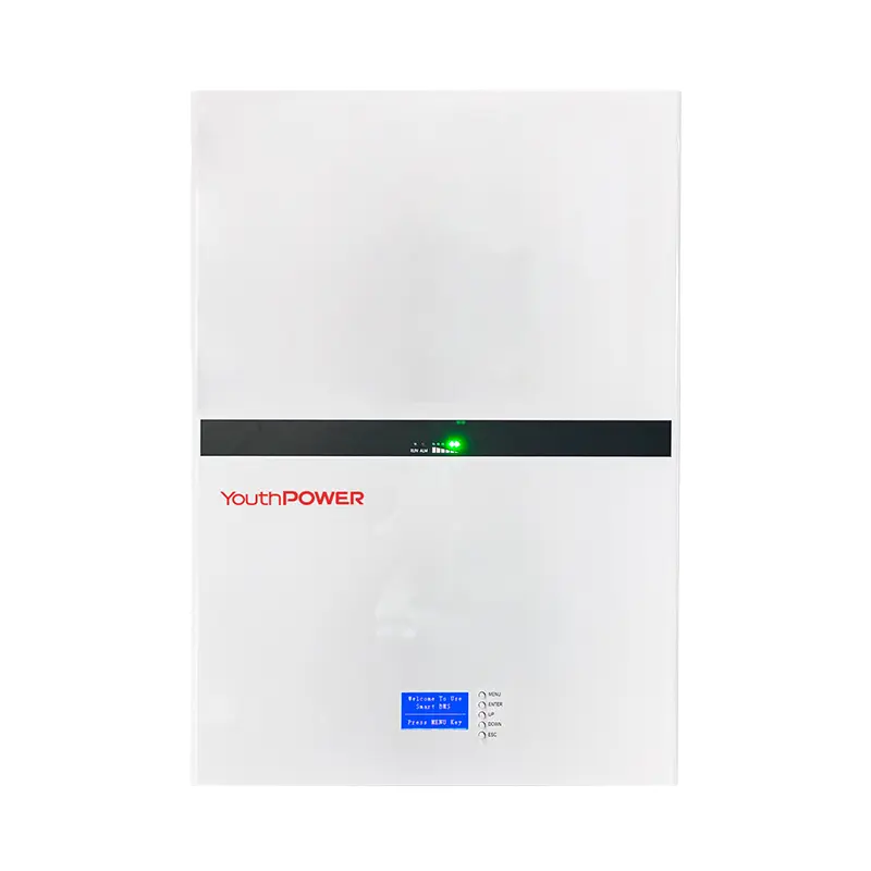 "YOUTHPOWER LI-YP-10.24KWH-V2 YP51200-10.24KWH V2 (Same as LI-YP-200AHPW) Wall battery 51.2V 200AH 10.24kWh Keyboard LCD version "