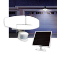 Sunforce LED Solar Motion-Activated Light
          